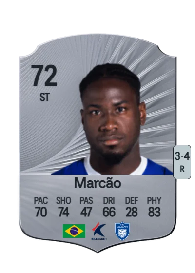 Amaral Alves Marcos Vinicius card