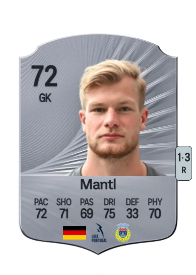 Nico Mantl card