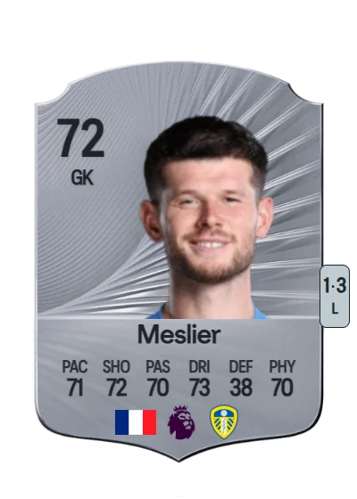Illan Meslier card