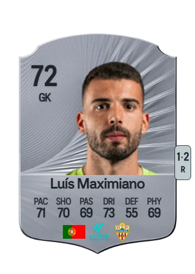 Luís Manuel Arantes Maximiano card