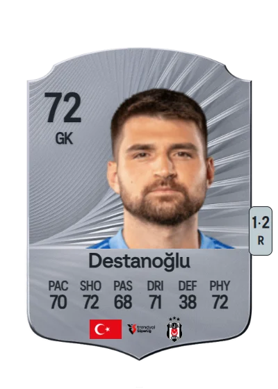 Ersin Destanoğlu card