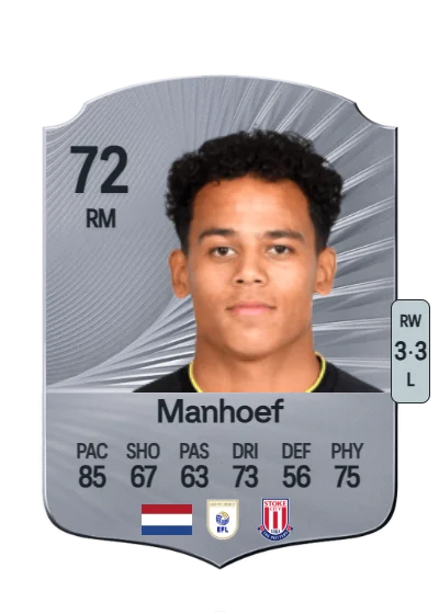 Million Manhoef card