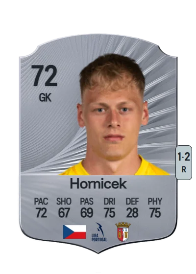 Lukas Hornicek card