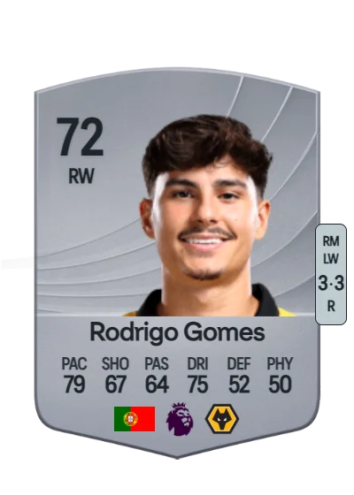 Rodrigo Martins Gomes card