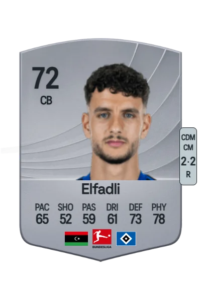 Daniel Elfadli card