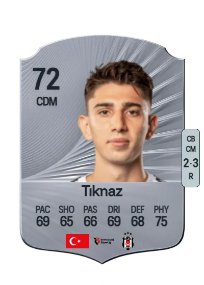 Demir Ege Tıknaz card
