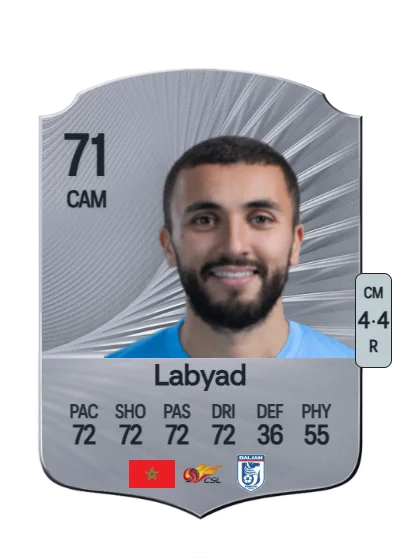 Zakaria Labyad card