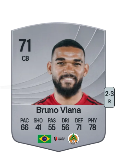 Bruno Viana Willemen da Silva card