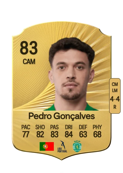 Pedro António Pereira Gonçalves card