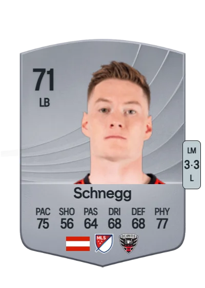 David Schnegg card