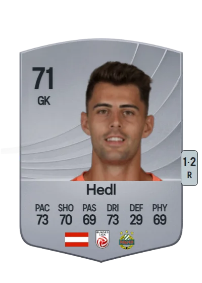 Niklas Hedl card