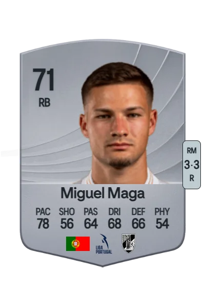 Miguel Ângelo Ferreira Magalhães card