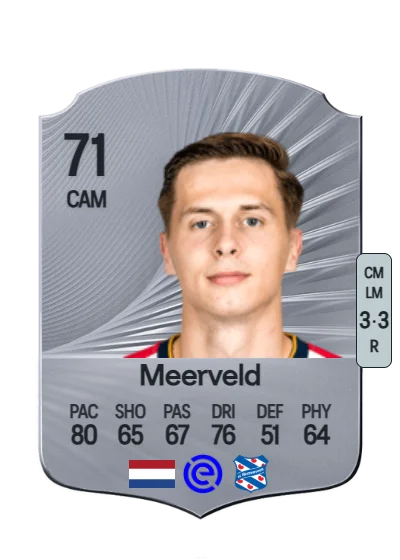 Ringo Meerveld card