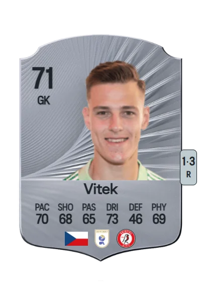 Radek Vitek card