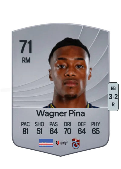 Wagner Fabrício Cardoso de Pina card