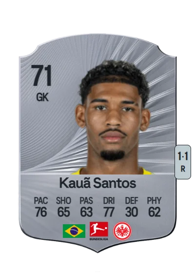 Kauã Morais Vieira dos Santos card