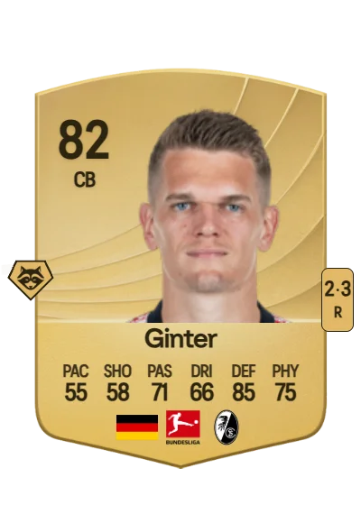 Matthias Ginter card