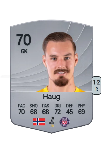 Kjetil Haug card