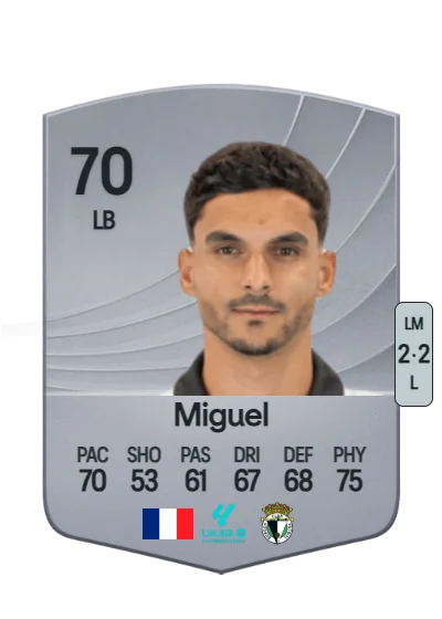 Florian Miguel card