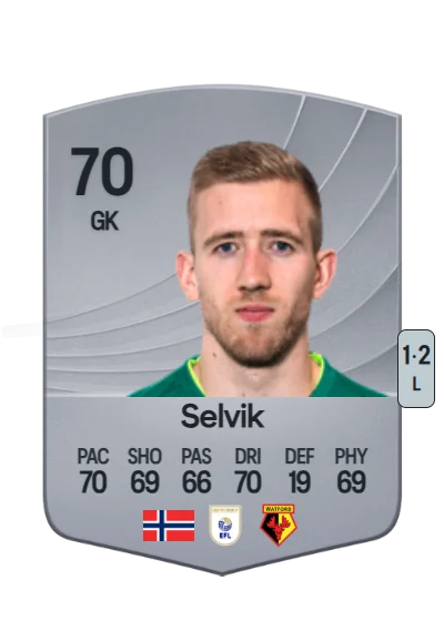 Egil Selvik card