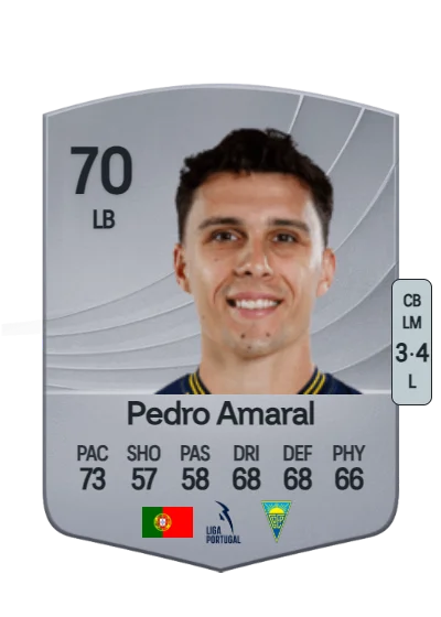 Pedro Miguel Gaspar Amaral card