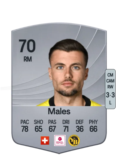 Darian Males card