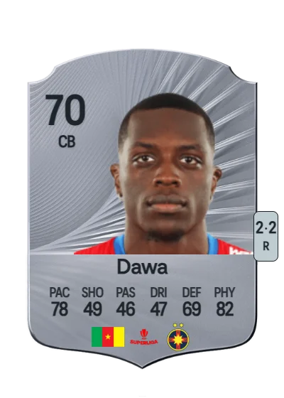 Joyskim Dawa card