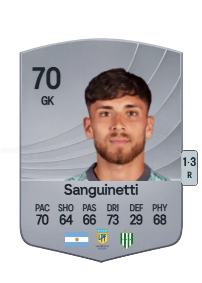 Facundo Sanguinetti card