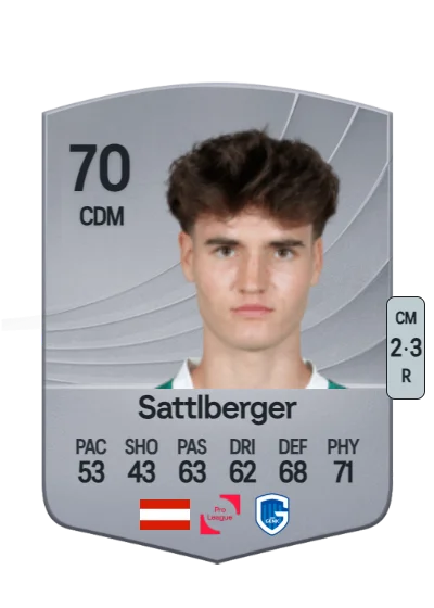 Nikolas Sattlberger card