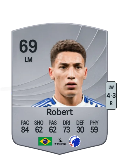 Robert Vinicius Rodrigues Silva card