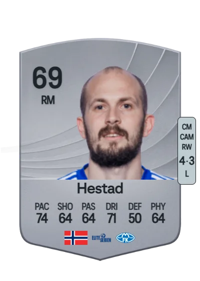 Eirik Hestad card
