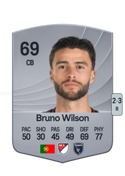 Bruno Ricardo Valdez Wilson card