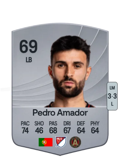 Pedro Miguel Santos Amador card