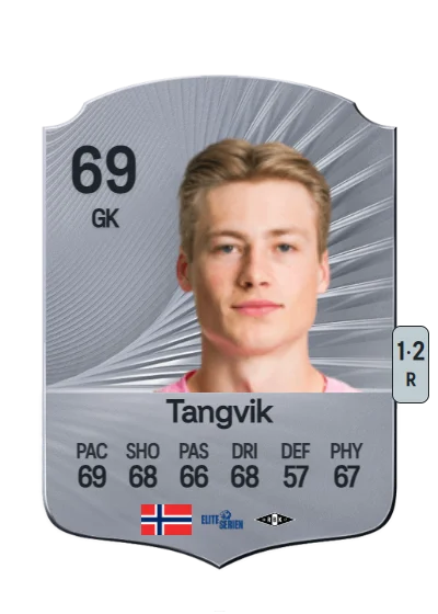 Sander Tangvik card