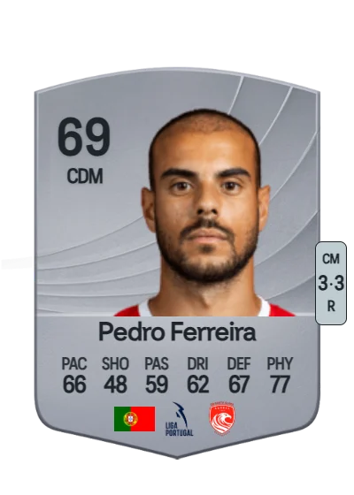 Pedro Miguel Dinis Ferreira card
