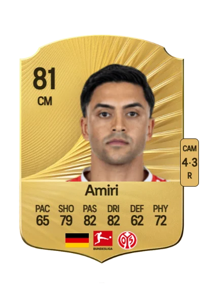 Nadiem Amiri card