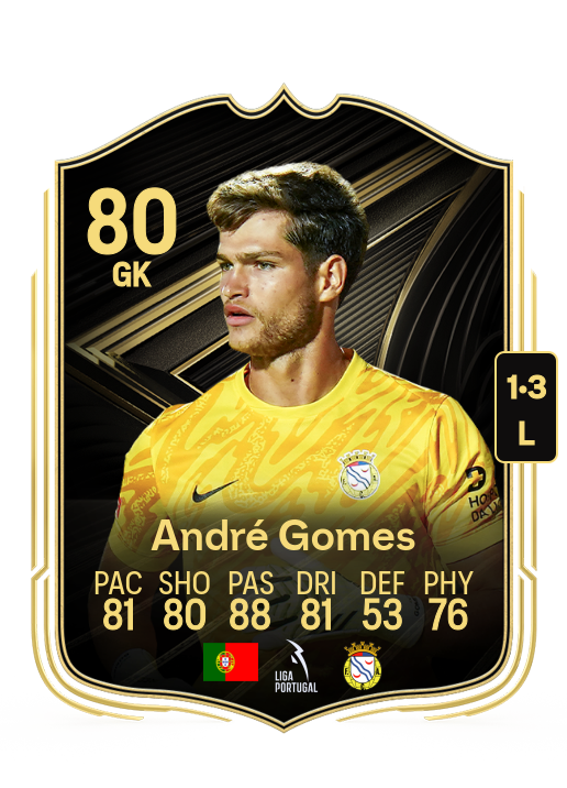 André Nogueira Gomes