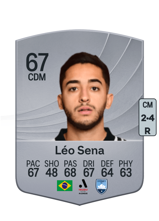 Leonardo de Souza Sena