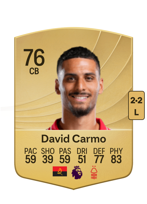 David Mota Teixeira Carmo