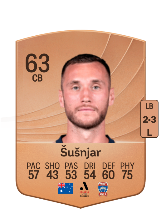 Aleksandar Šušnjar