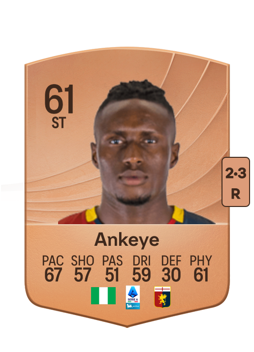 David Ankeye