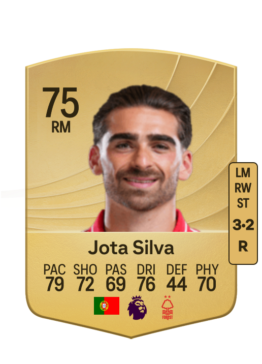 João Pedro Ferreira Silva