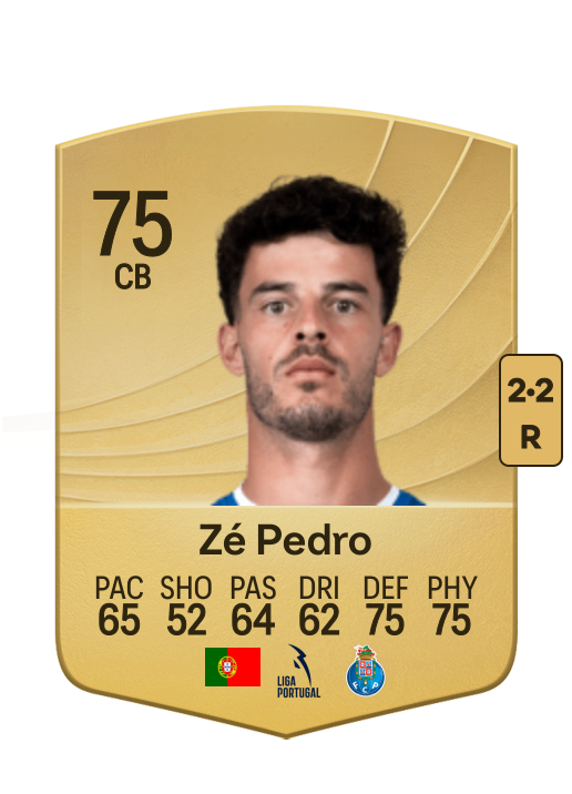 José Pedro da Silva Figueiredo