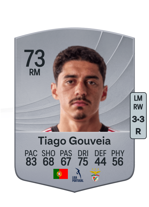 Tiago Maria Antunes Gouveia