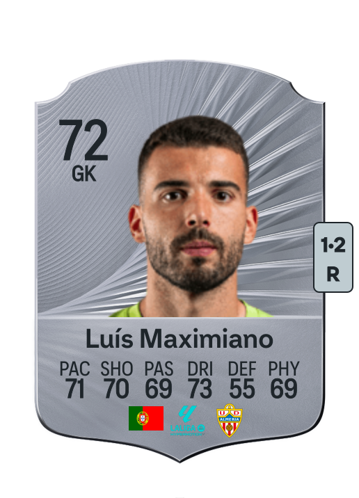 Luís Manuel Arantes Maximiano