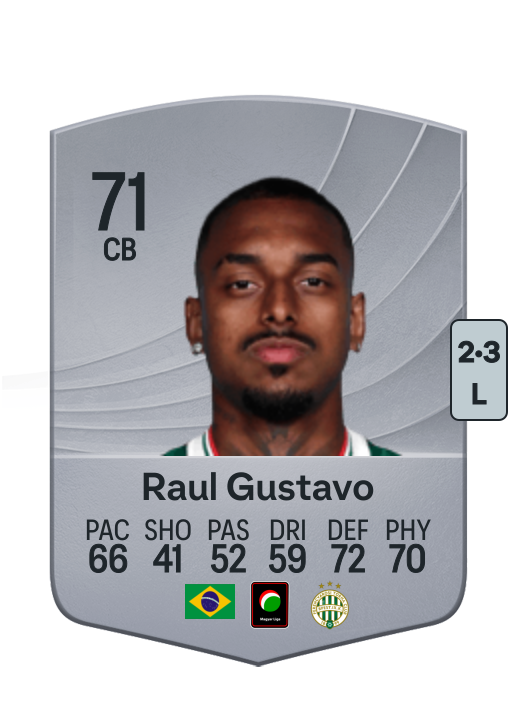Raul Gustavo Pereira Bicalho